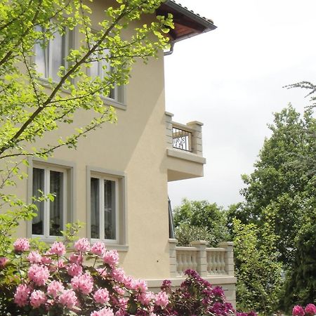 Ferienwohnung Dennstedt Wilkau-Hasslau 외부 사진