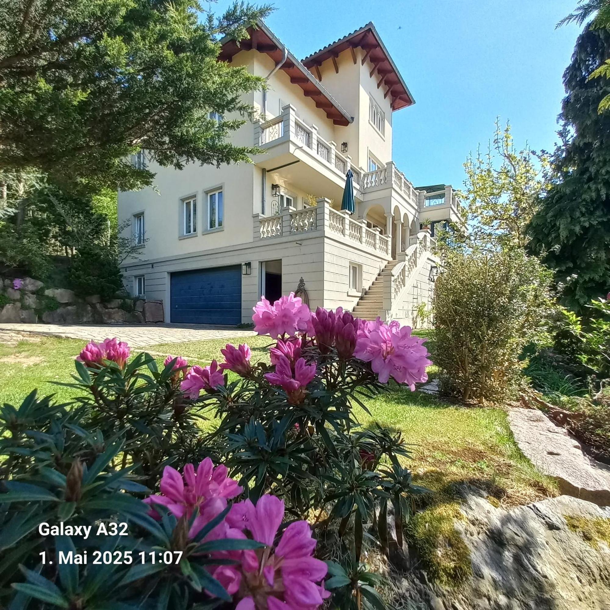Ferienwohnung Dennstedt Wilkau-Hasslau 외부 사진